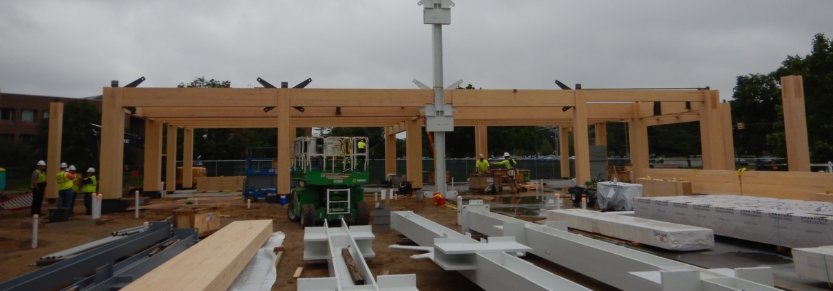MSU STEM